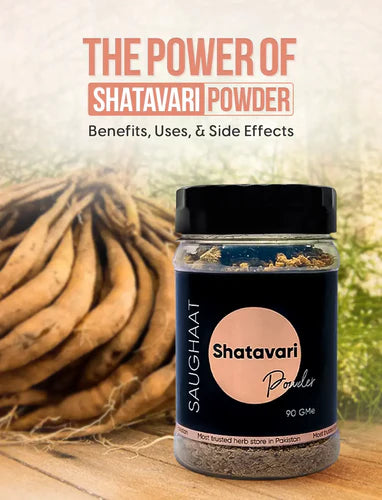 The Power of Shatavari Powder: Benefits, Uses, and Side Effects