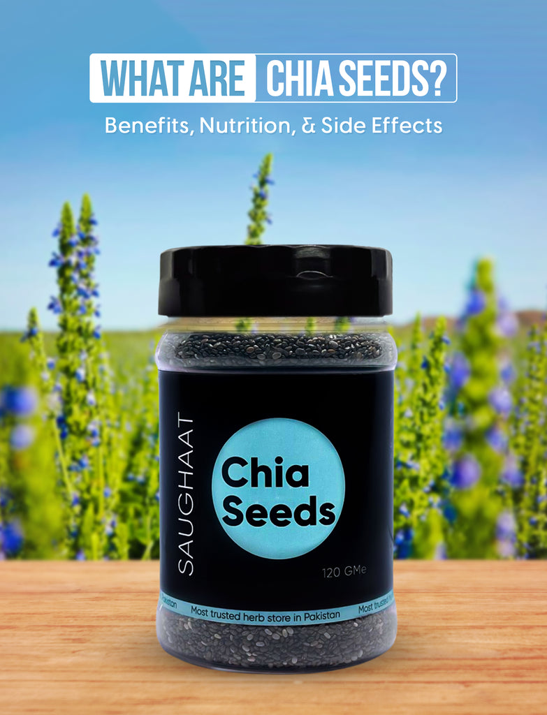 What are Chia seeds? Benefits, Nutrition, and Side Effects