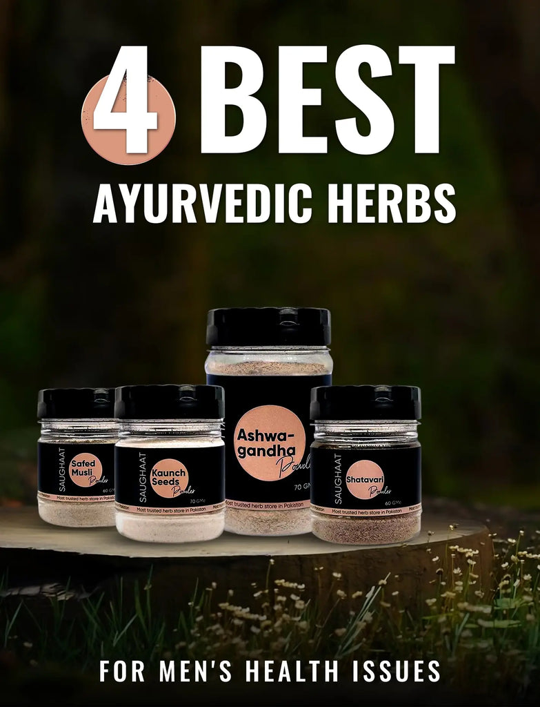 4 Best Ayurvedic Herbs for Men’s Health Issues